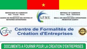 Formalisationdes entreprises au Cameroun aux CFCE
